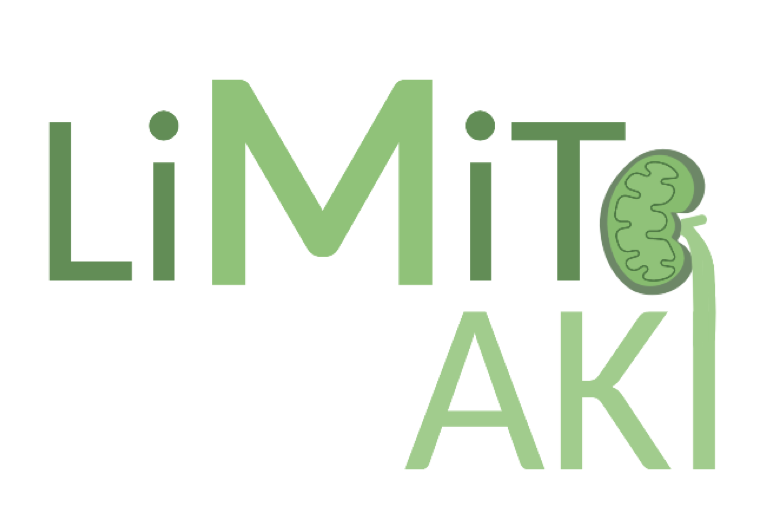 LiMiTAKI Logo